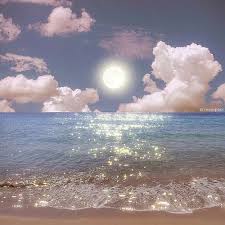 Ảnh đại diện người dùng Thanh Hà